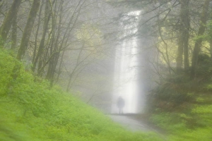 Rainy Prints: USA, Oregon, Columbia River Gorge. Latourell Falls seen through a rain-streaked car window