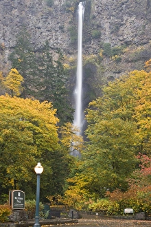 Images Dated 31st October 2008: USA, Oregon, Columbia River Gorge. View of Multnomah Falls. Credit as: Don Paulson
