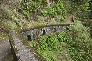 Images Dated 30th October 2008: USA, Oregon, Columbia River Gorge. Stone wall next to trail above Sheppards Dell