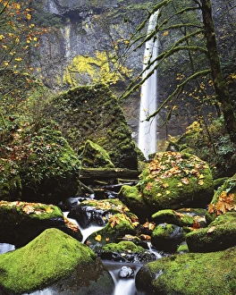 USA, Oregon, Columbia River Gorge, John B. Yeon State Park, Elowah Falls