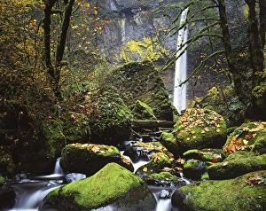 Elowah Falls Prints: USA, Oregon, Columbia River Gorge, John B. Yeon State Park, Elowah Falls