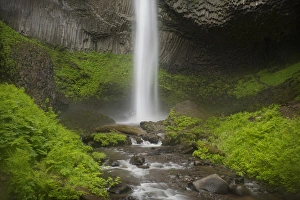 Images Dated 28th April 2016: USA, Oregon, Columbia River Gorge. Latourell Falls landscape