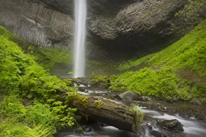 Images Dated 28th April 2016: USA, Oregon, Columbia River Gorge. Latourell Falls landscape