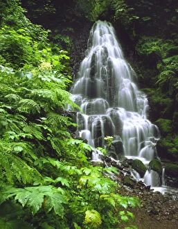 Images Dated 6th June 2007: USA, Oregon, Columbia River Gorge National Scenic Area, Fairy Falls tumbling down basalt rocks