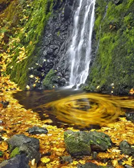 Images Dated 14th January 2013: USA, Oregon, Columbia River Gorge National Scenic Area. Starvation Creek waterfall