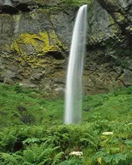 Images Dated 24th March 2015: USA, Oregon, Columbia River Gorge National Scenic Area. Elowah Falls scenic. Credit as