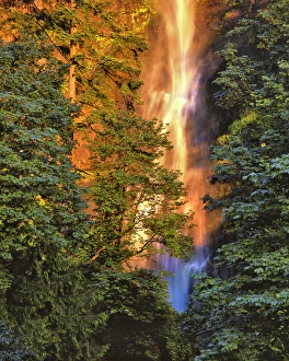 Images Dated 28th May 2013: USA, Oregon, Columbia River Gorge National Scenic Area