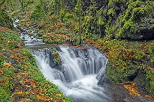 Images Dated 12th June 2020: USA, Oregon. Columbia River Gorge National Scenic Area, Emerald Falls on Gorton Creek in