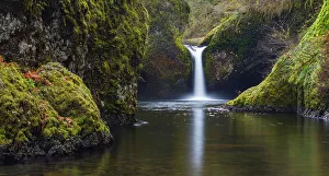 Lichen Prints: USA, Oregon, Columbia River Gorge National Scenic Area. Punchbowl Falls