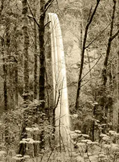 USA, Oregon, Columbia River Gorge National Scenics Area, Latourell Falls viewed through