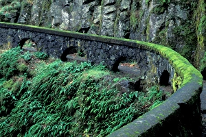 Images Dated 5th January 2005: USA, Oregon, Columbia River Gorge NSA, fence along path to Shepherds Dell Falls