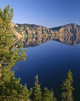 USA, Oregon, Crater Lake National Park. Whitebark pines frame view south from Palisade