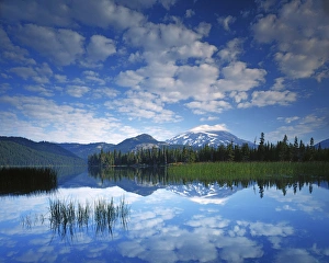 USA, Oregon, Deschutes National Forest, South Sister reflects in Sparks Lake