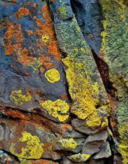 Basalt Prints: USA, Oregon, Deschutes National Forest. Lichen- covered basalt rock
