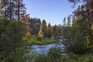 Images Dated 24th June 2016: USA, Oregon, Deschutes National Forest, Headwaters of the Metolius River and distant