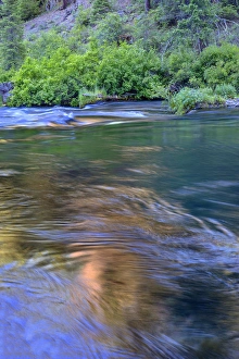Images Dated 24th June 2016: USA, Oregon, Deschutes National Forest, Fluid water and reflections along the Metolius
