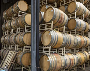 Storage Prints: USA, Oregon, Elk Cove Winery. Oak storage barrels