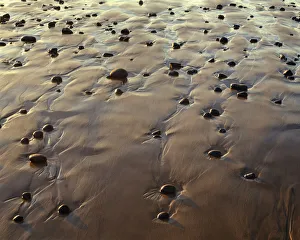 USA, Oregon. Evening light defines wet beach with scattered rocks, near Oceanside