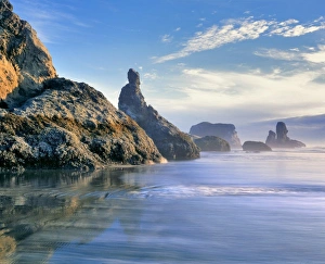 USA, Oregon, Face Rock Wayside. The Pacific Ocean baths the sea stacks at Face Rock Wayside