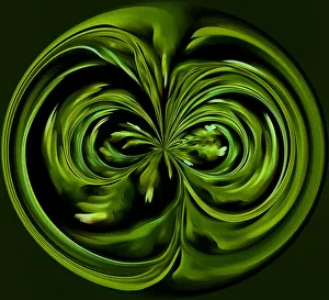 Fern Prints: USA, Oregon. Fern abstract. Credit as: Jean Carter / Jaynes Gallery / DanitaDelimont. com