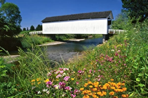 Covered Prints: USA, Oregon. Gallon House covered bridge over Abiqua Creek