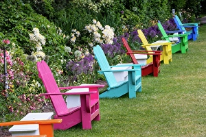 Lupine Prints: USA, Oregon. Garden in full bloom with row of colorful chairs amongst bearded iris and Russell lupine