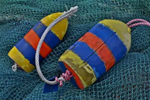Images Dated 1st January 2000: USA, Oregon, Garibaldi. Blue fishing nets with buoys