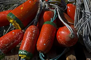 USA, Oregon, Garibaldi. Red and green crab pot buoys and ropes