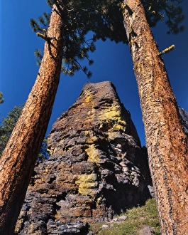 USA, Oregon, Gearhart Mountain Wilderness. Trees frame rock formation. Credit as