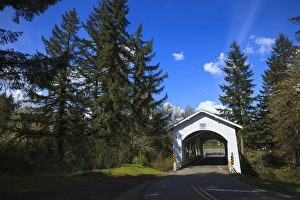 Willamette Valley Prints: USA, Oregon, Hannah Bridge