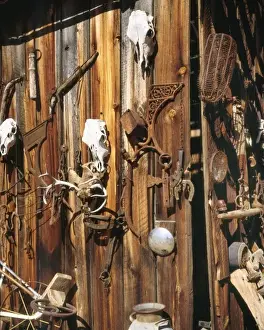 Skull Prints: USA, Oregon, Harney County. Old livery stable barn with animal skull decorations