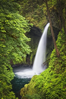 Eagle Creek Prints: USA, Oregon, Hood River County. Metlako Falls on Eagle Creek in the Columbia River Gorge