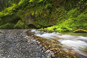Eagle Creek Prints: USA, Oregon, Hood River County. Eagle Creek just below Punchbowl Falls