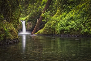 USA, Oregon, Hood River County. Punch Bowl Falls along Eagle Creek in the Columbia