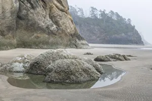 Images Dated 1st May 2019: USA, Oregon. Hug Point State Park, foggy beach