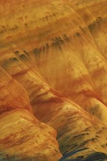 Images Dated 27th June 2009: USA, Oregon, John Day Fossil Beds National Monument. Colorful portion of Painted Hills