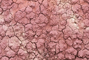 Images Dated 27th March 2009: USA, Oregon, John Day Fossil Beds NM, Painted Hills Detail