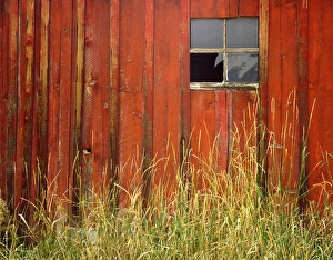 Storage Prints: USA, Oregon, Joseph, Grasses contrast with broken window on side of rustic red barn in autumn