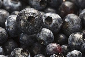 Blueberry Prints: USA, Oregon, Keizer, blueberries