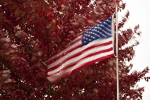 Old Glory Prints: USA, Oregon, Keizer, long exposure of flag in wind