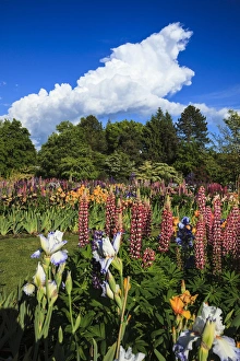 Rick A Brown Prints: USA, Oregon, Keizer, Schreiners Iris Farm, storm building at the display garden