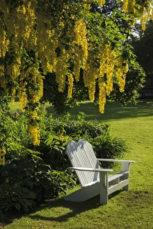 Images Dated 26th May 2012: USA, Oregon, Keizer, Schreiners Iris Gardens, bench in the garden