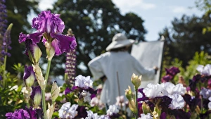 USA, Oregon, Keizer, Schreiners Iris Gardens, artist working in the garden