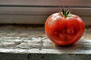 Keizer Prints: USA, Oregon, Keizer, Tomato on window sill, Digital Composite HDR