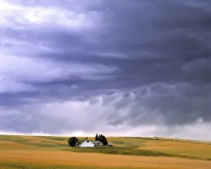 Storm Cloud Prints: USA, Oregon, LaGrande. Rippling storm clouds gather over a small farm, in La Grande