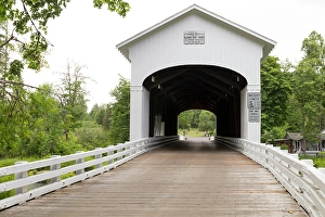 Images Dated 6th July 2024: USA, Oregon, Lane County, Jasper Place Road