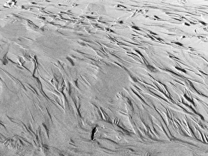 Images Dated 16th September 2018: USA, Oregon, Manzanita. Black and white of beach sand patterns