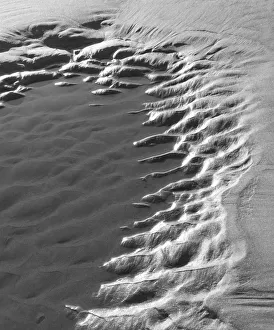 Images Dated 14th September 2018: USA, Oregon, Manzanita. Black and white of beach sand patterns