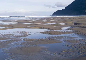 Tide Pool Prints: USA, Oregon, Manzanita. Reflections in beach tide pools