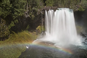 Mckenzie River Prints: USA, Oregon. McKenzie River plunges over Koosah Falls